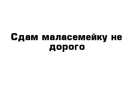 Сдам маласемейку не дорого